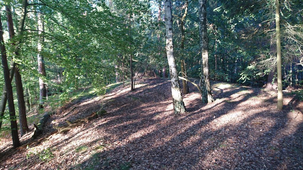 Ferienwohnung Hellwig Wendisch Rietz Esterno foto