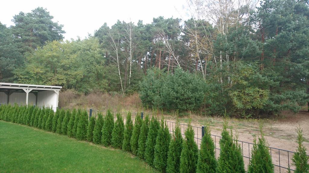 Ferienwohnung Hellwig Wendisch Rietz Esterno foto